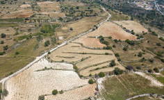 For sale, land, field, Limassol, Pachna, 9,709m&sup2;, &euro;77,000 , Limassol