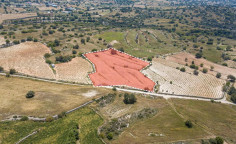 For sale, land, field, Limassol, Pachna, 9,709m&sup2;, &euro;77,000 , Limassol