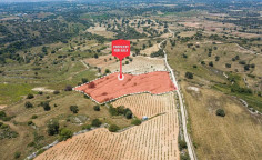 For sale, land, field, Limassol, Pachna, 9,709m&sup2;, &euro;77,000 , Limassol