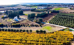 For sale, land, field, Paphos, Mandria, 19,064m&sup2;, &euro;650,000 , Limassol
