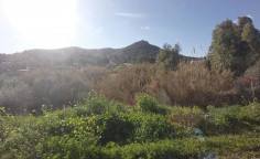 For sale, land, field, Larnaca, Mosfiloti, 2,562m&sup2;, &euro;50,000 , Larnaca