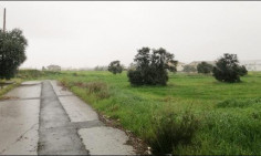 Residential 2221 m2 for sale in Tseri, Nicosia
