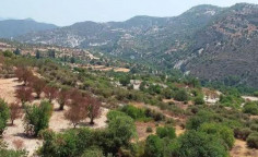 For sale, land, Limassol, Limnatis, 6,021m&sup2;, &euro;10,000 