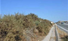 For sale, land, field, Paphos, Agia Varvara, 1,237m&sup2;, &euro;15,000 