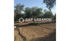 For sale, land, field, Larnaca, Pyrga, 4,400 m&sup2;, eur 280,000 , Larnaca