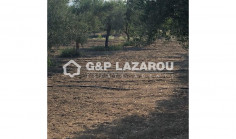 For sale, land, field, Larnaca, Pyrga, 4,400 m&sup2;, eur 280,000 , Larnaca
