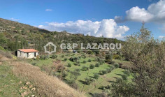 For sale, land, field, Limassol, akapnou, 4,655m&sup2;, &euro;55,000 