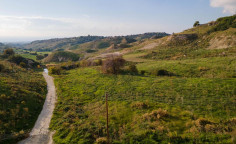 For sale, land, field, Paphos, Armou, 1,338m&sup2;, &euro;74,000 , Paphos