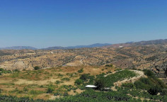 For sale, land, field, Limassol, Pachna, 5,686m&sup2;, &euro;4,000 