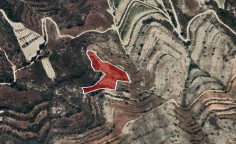 For sale, land, field, Limassol, Pachna, 5,686m&sup2;, &euro;4,000 