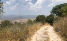 For sale, land, field, Paphos, Simou, 7,358m&sup2;, &euro;110,000 , Paphos