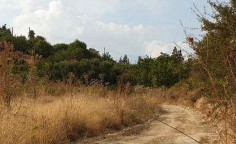 For sale, land, field, Limassol, Agios Amvrosios, 827m&sup2;, &euro;24,000 , Limassol