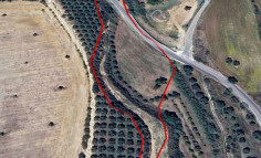 Residential 10034 m2 for sale in Poli Crysochous, Paphos