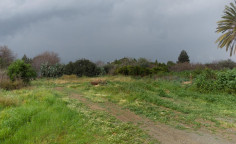For sale, land, plot, Nicosia, Dali, 1,115m&sup2;, &euro;120,000 , Nicosia