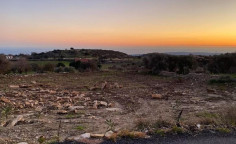 For sale, land, field, Limassol, Pachna, 3,011m&sup2;, &euro;38,000 , Limassol