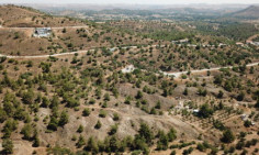 Plot 70 in Kornos , Larnaca