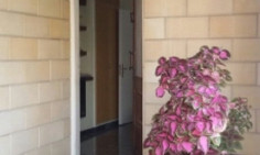 House (detached) in Katholiki, Limassol for sale 