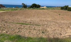 (tourist) in Tombs Of The Kings, Paphos for sale , Paphos
