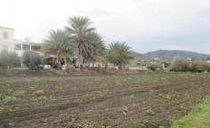 Residential 4014 m2 for sale in Ayia Marina Chrysochous, Paphos