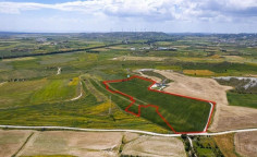 Field in Kalo Chorio, Larnaca , Larnaca