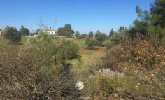 Residential to buy in Lythrodontas, Nicosia