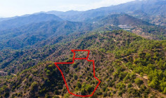 Fields in Arakapas, Limassol 