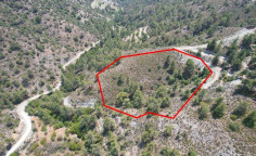 Agricultural for sale in Limassol