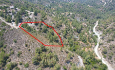 Agricultural for sale in Limassol