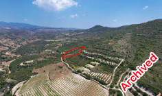 Agricultural 5686 m2 for sale in Pachna
