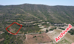Agricultural 5686 m2 for sale in Pachna