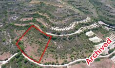 Agricultural 5686 m2 for sale in Pachna