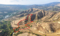 Shared agricultural field in Giolou, Paphos 
