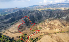 Shared agricultural field in Giolou, Paphos 