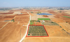 Agricultural to buy in Avgorou
