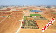 Agricultural to buy in Avgorou