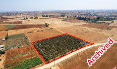 Agricultural to buy in Avgorou