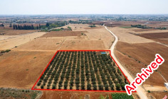 Agricultural to buy in Avgorou