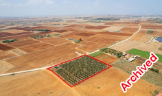 Agricultural to buy in Avgorou