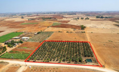 Agricultural to buy in Avgorou