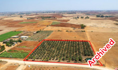 Agricultural to buy in Avgorou