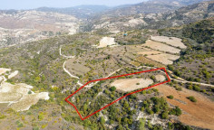 Agricultural 14047 m2 for sale in Dora