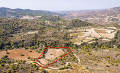 Agricultural 14047 m2 for sale in Dora
