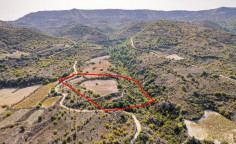 Agricultural 14047 m2 for sale in Dora