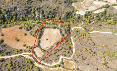 Agricultural 14047 m2 for sale in Dora