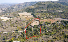 Agricultural 14047 m2 for sale in Dora