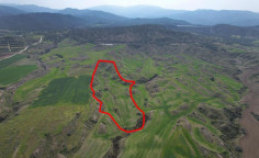 Agricultural 31104 m2 for sale in Nicosia