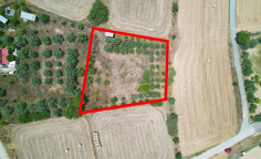 Residential to buy in Pera, Nicosia