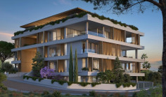Luxury 2 bedroom penthouse with swimming pool for sale in Green Area