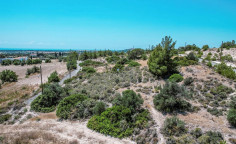 Residential field in Alethriko, Larnaca , Larnaca
