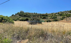 9,663m2 residential land for sale Kalavasos , Larnaca